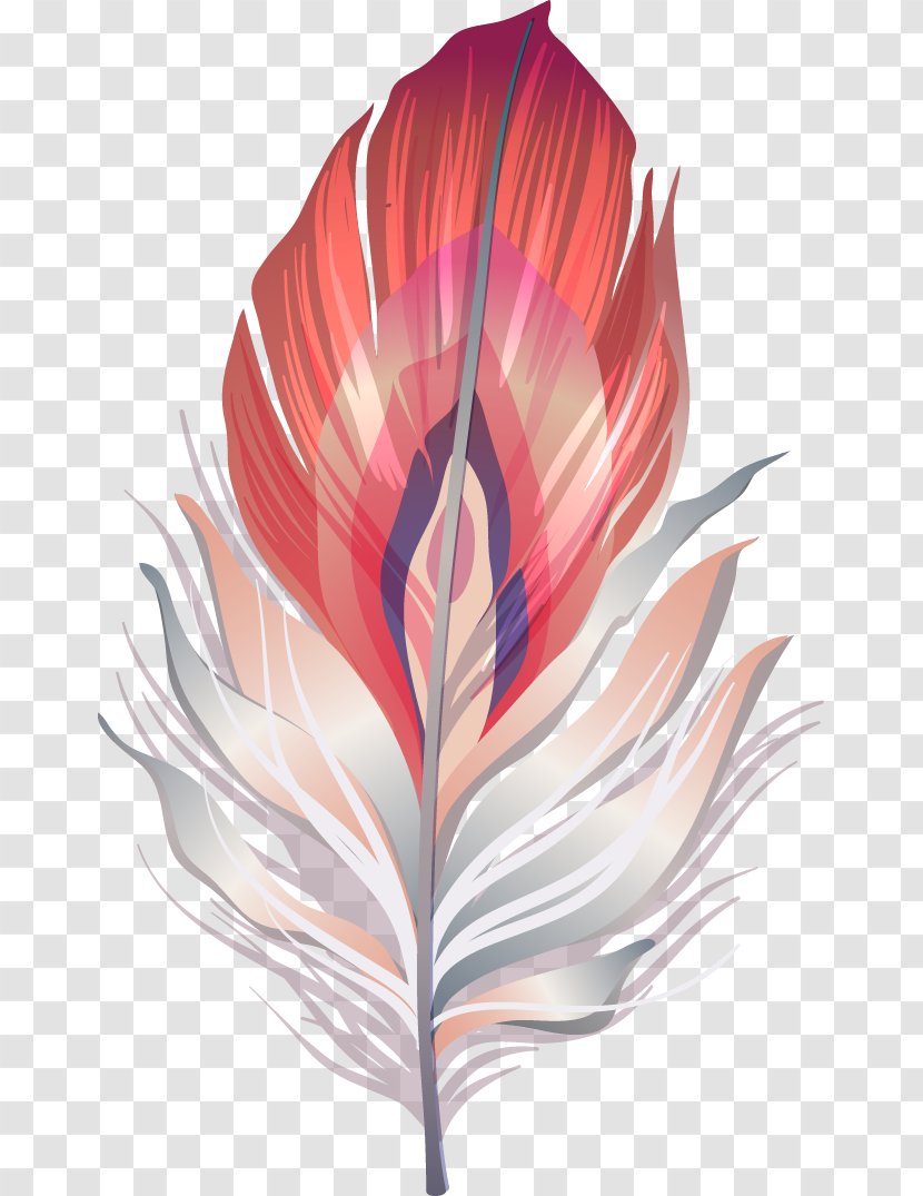 Mask Carnival Masquerade Ball Illustration - Exquisite Color Feather Transparent PNG