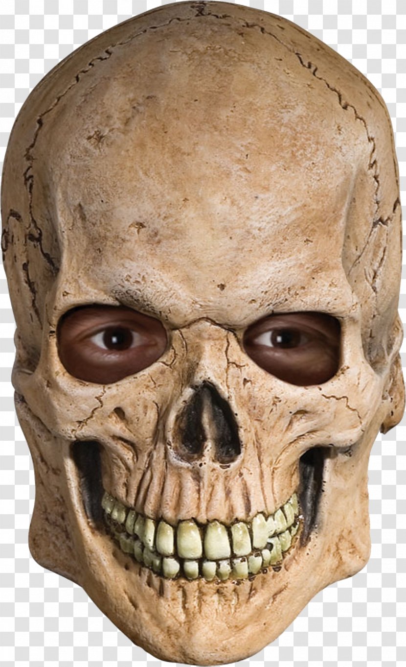 Mask Skull Human Skeleton Costume - Latex Transparent PNG