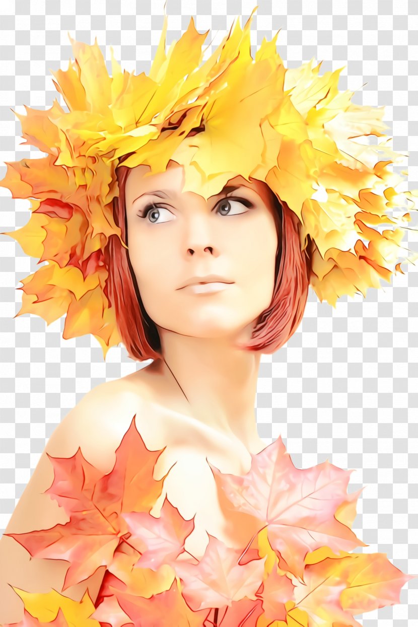 Orange - Hairstyle - Costume Accessory Plant Transparent PNG