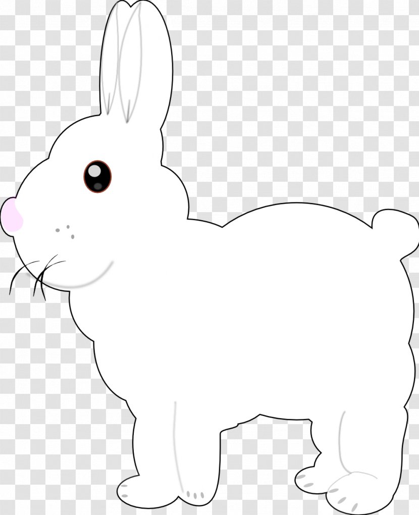 Domestic Rabbit Hare Cat Whiskers - Black - And White Bunny Pictures Transparent PNG