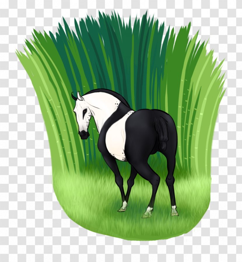Mustang Foal Mare Stallion Halter - Pasture - Mounted Archery Training Transparent PNG