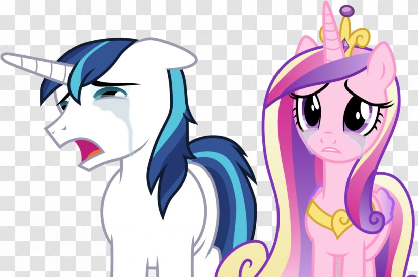 Princess Cadance Pony Twilight Sparkle Spike Pinkie Pie - Frame - Youtube Transparent PNG