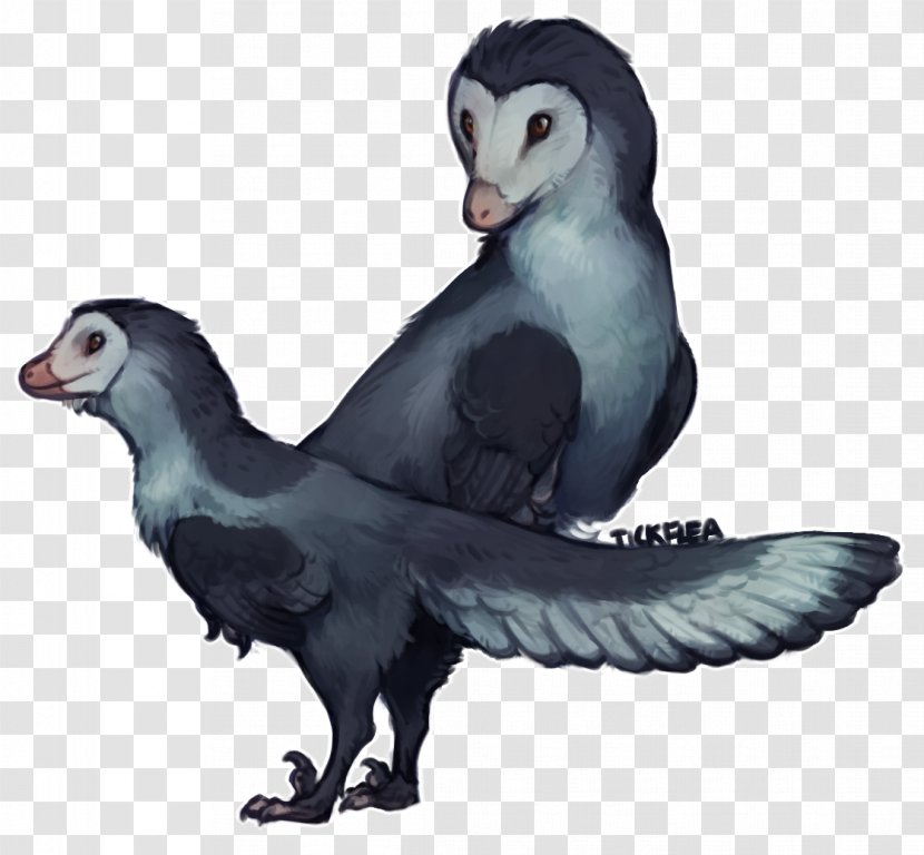 Anchiornis Penguin Bird Dinosaur Velociraptor Transparent PNG