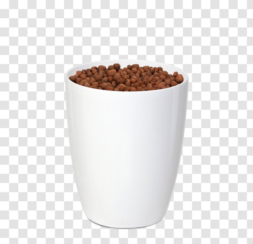 Coffee Cup Brussels Diamond Orchid Superfood - Flavor Transparent PNG