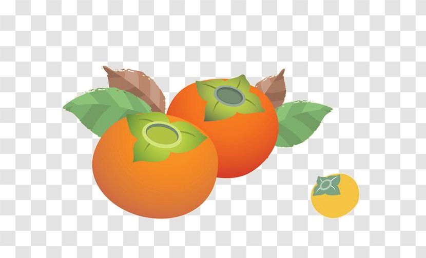 Japanese Persimmon Clementine Tangerine - Orange Transparent PNG