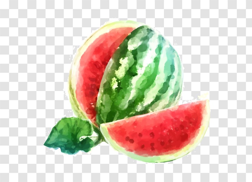 Watermelon Xiazhi Fruit Watercolor Painting Royalty-free - Royaltyfree Transparent PNG