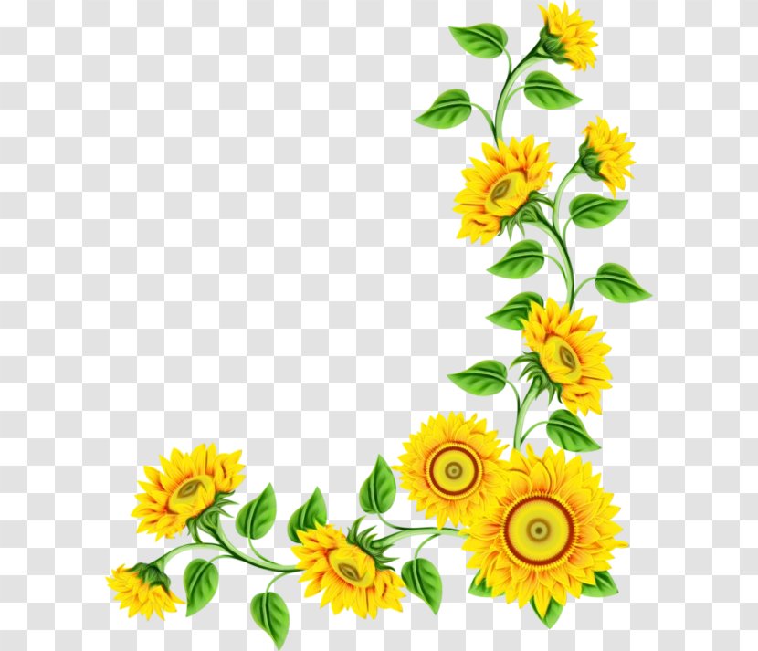 Key Chains Flower Video Image Television - Plant - Daisy Family Transparent PNG