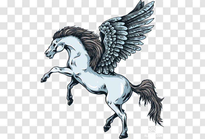 Legendary Creature Greek Mythology Mythical Pegasus Wall Decal Transparent PNG