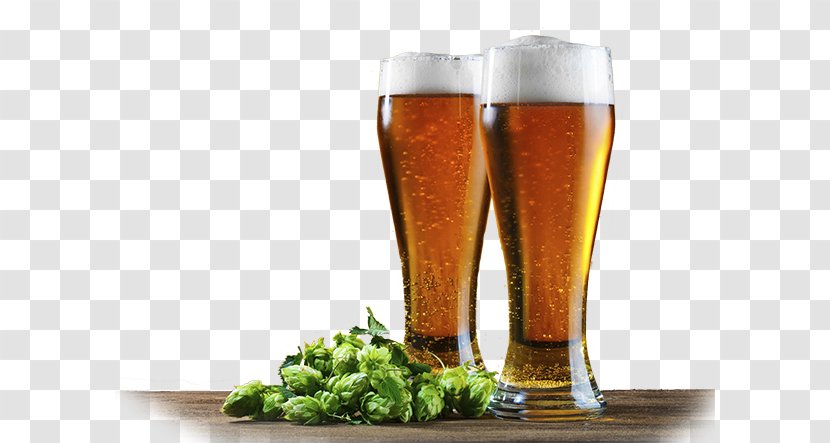 Beer Universe Glasses Hops - School Transparent PNG