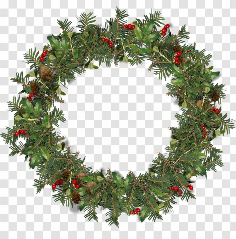 Wreath Ded Moroz Christmas Stock Photography - Pine Family - Garland Frame Transparent PNG