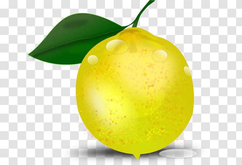 Lemon Clip Art - Thumbnail - Drawing Summer Tropical Plants Transparent PNG