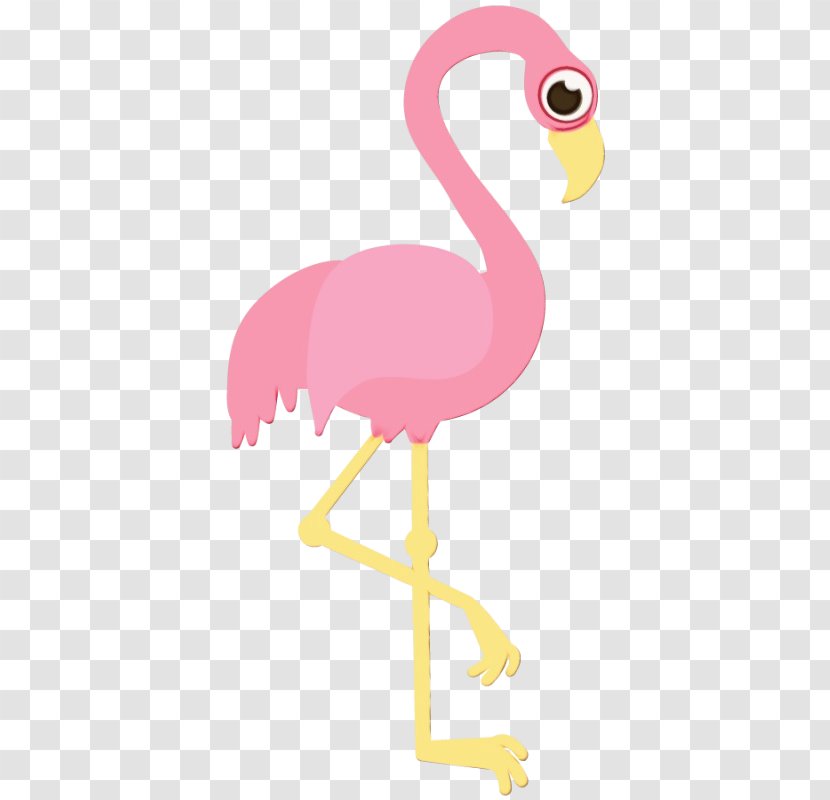 Flamingo - Beak - Flightless Bird Ostrich Transparent PNG