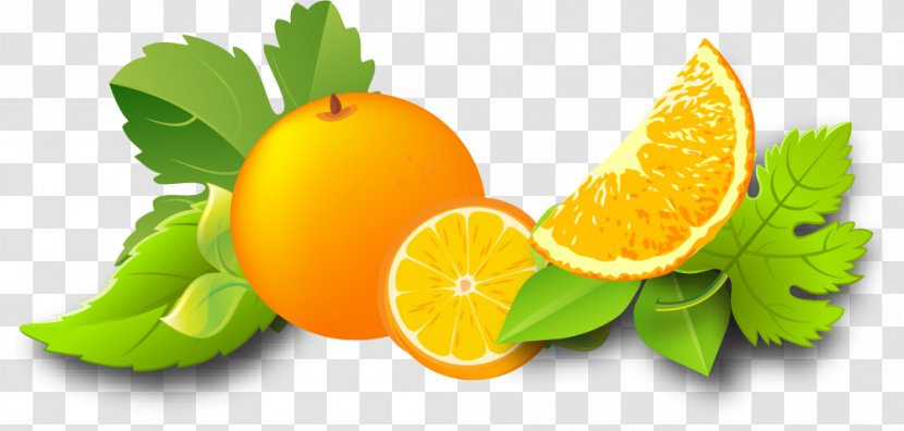 Orange Juice Lemon Auglis - Citron - Fruit Material Transparent PNG