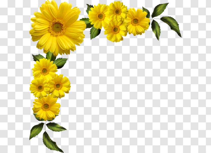 Flower Floral Design Clip Art Yellow - Cut Flowers - Calendula Transparent PNG