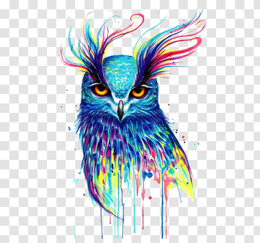 Owl Drawing Artist Painting Transparent PNG