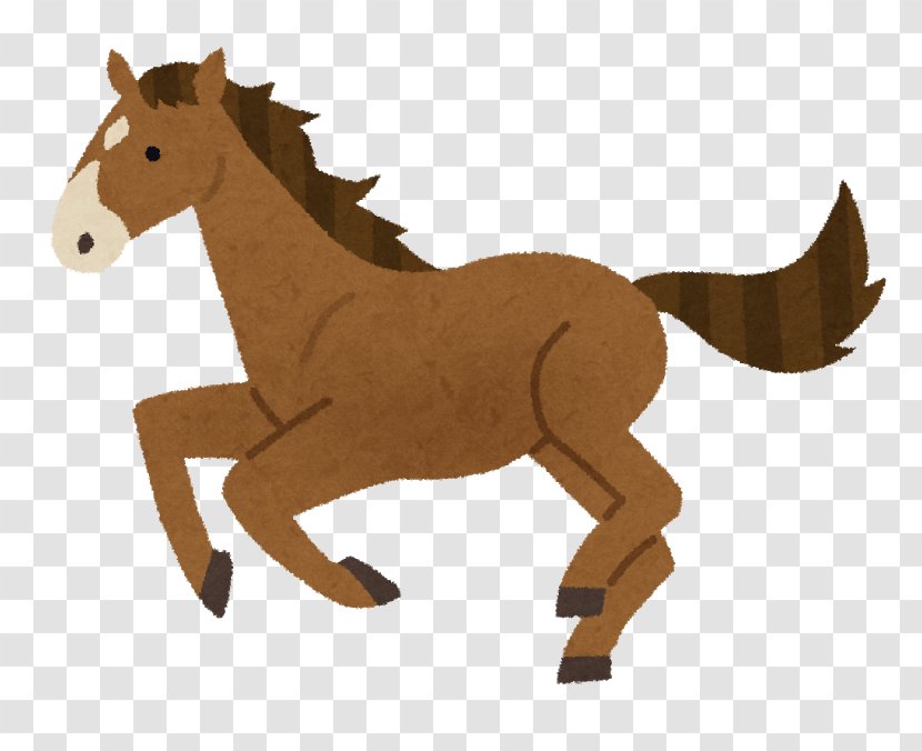 Thoroughbred Institute For Solid State Physics, The University Of Tokyo Canter And Gallop Equestrian Sport - Pony - Child Transparent PNG