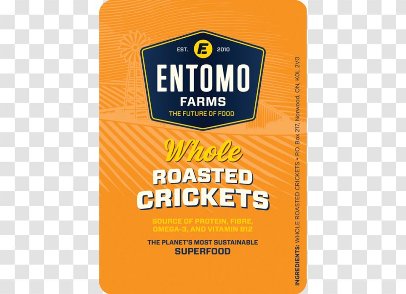 Insect Cricket Flour Entomophagy Food - Meat - Like Transparent PNG