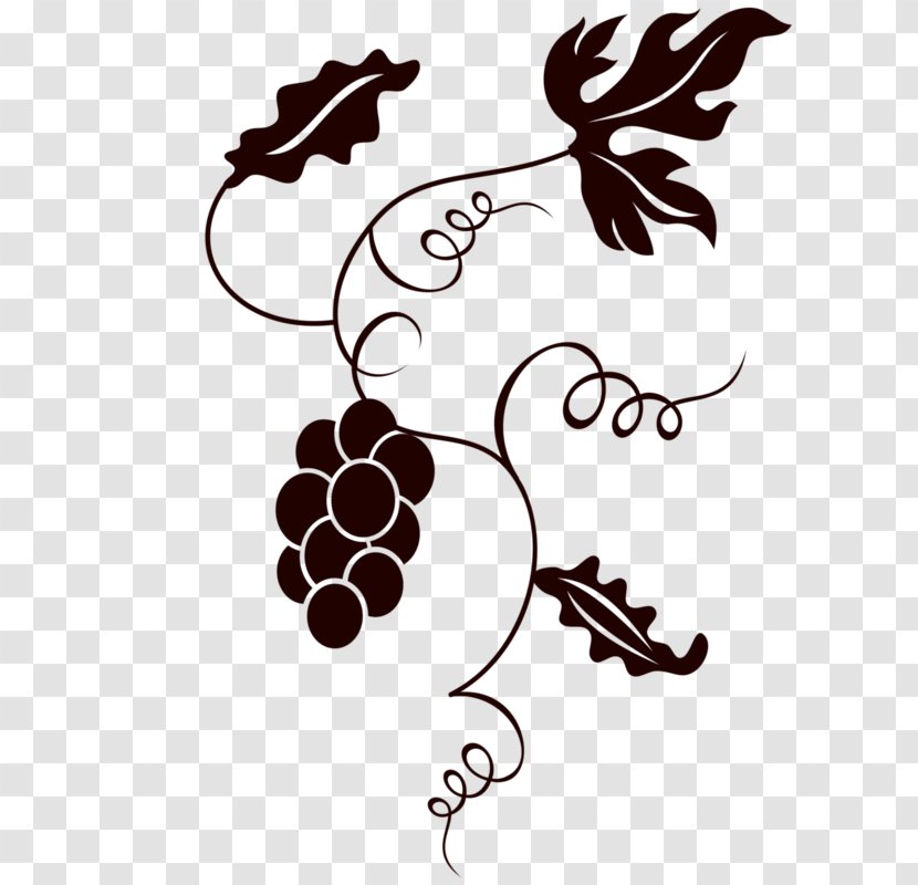 Common Grape Vine Image Wine - Motif Transparent PNG