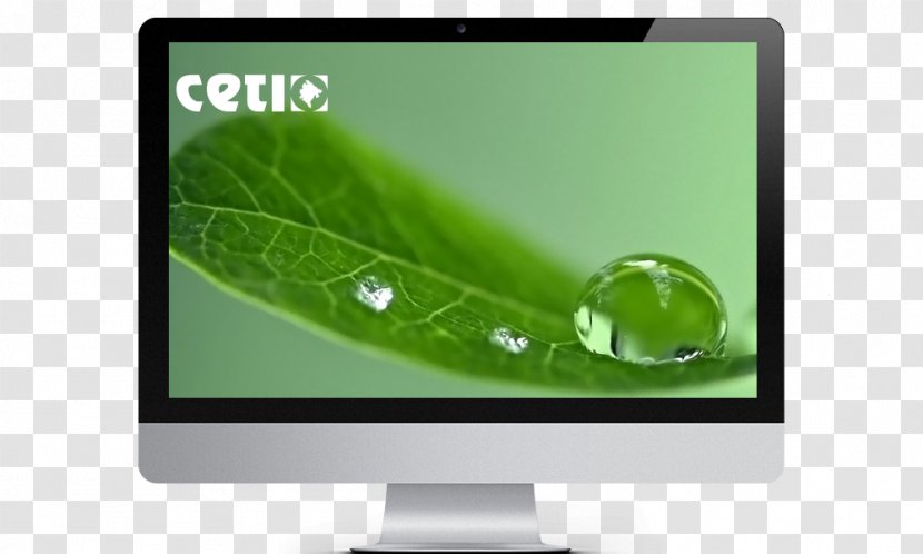 Desktop Wallpaper Computer Monitors Green - Eye Transparent PNG