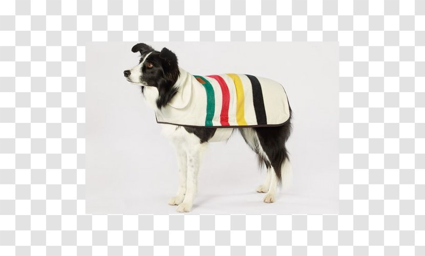 Dog Breed Glacier National Park Coat Clothing - Like Mammal Transparent PNG