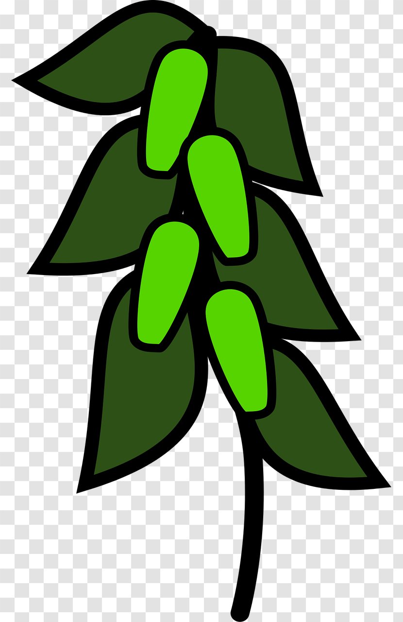 Pea Soup Green Leaf Clip Art Transparent PNG