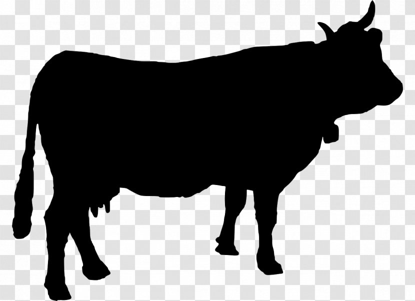 Holstein Friesian Cattle Silhouette - Snout - Cow Head Transparent PNG