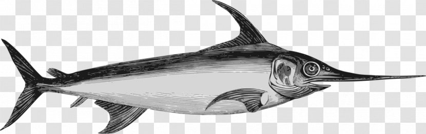 Swordfish Marlin Clip Art - Fishing Transparent PNG