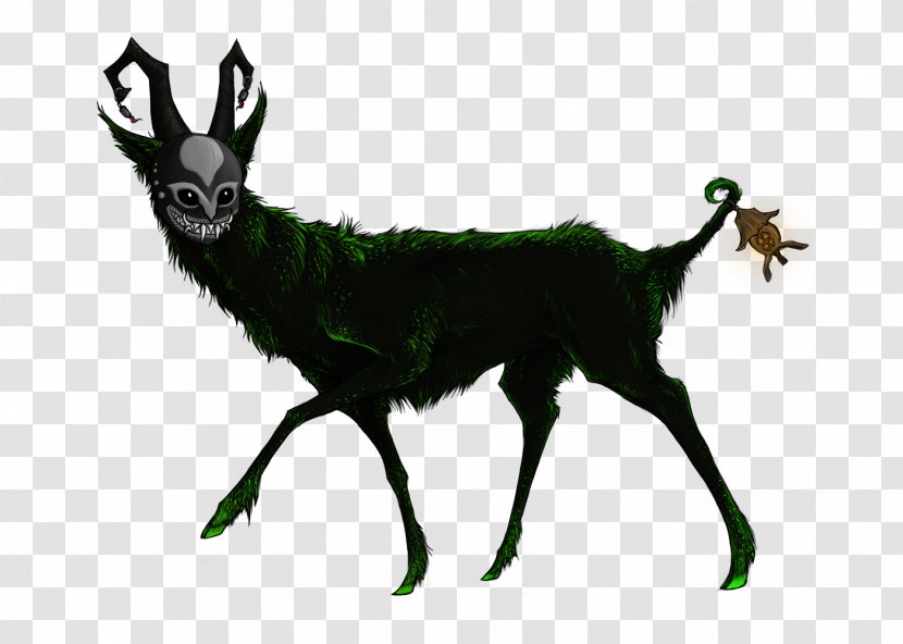 Musk Deers Antelope Goat Horse - Fauna - Deer Transparent PNG