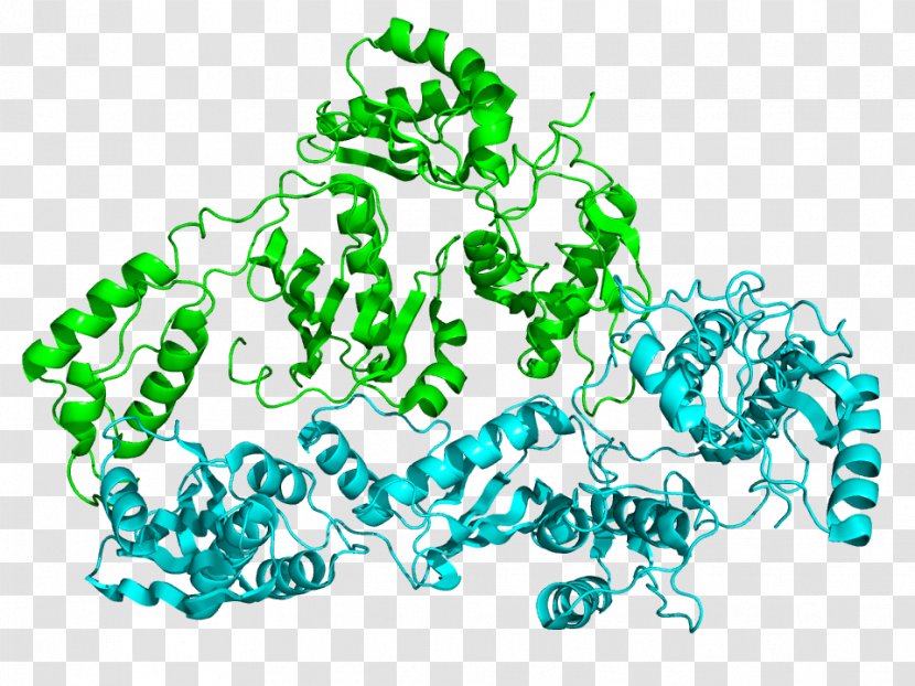 Reverse Transcriptase RNA DNA Polymerase Enzyme - Virus - Cyan Transparent PNG