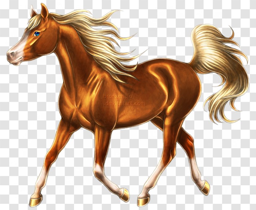Arabian Horse Mustang Stallion Pony Colt - Bridle - Arab Transparent PNG