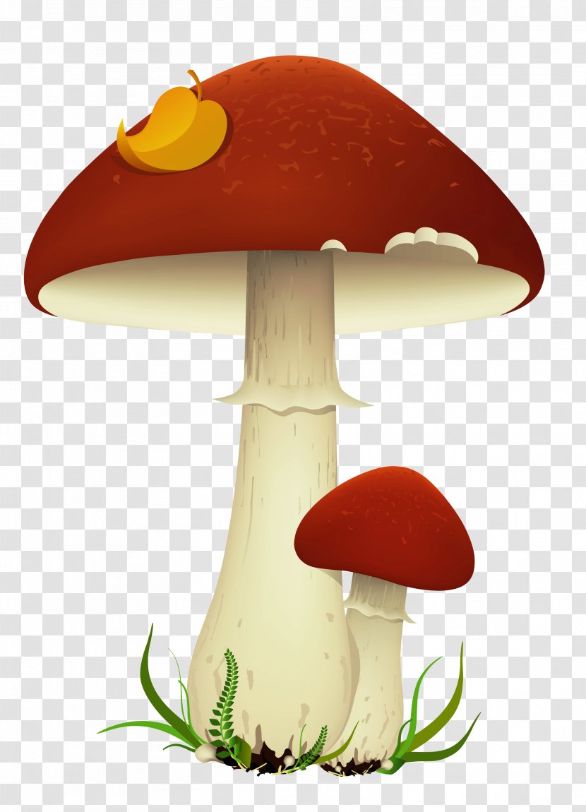 Mushroom Clip Art - Image Resolution - Fall Mushrooms Transparent Picture Transparent PNG