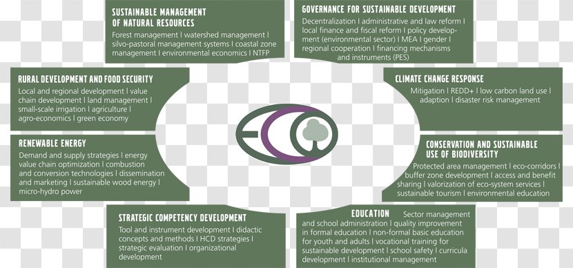 Sustainability Sustainable Development Environmental Resource Management Natural Environment - Text Transparent PNG