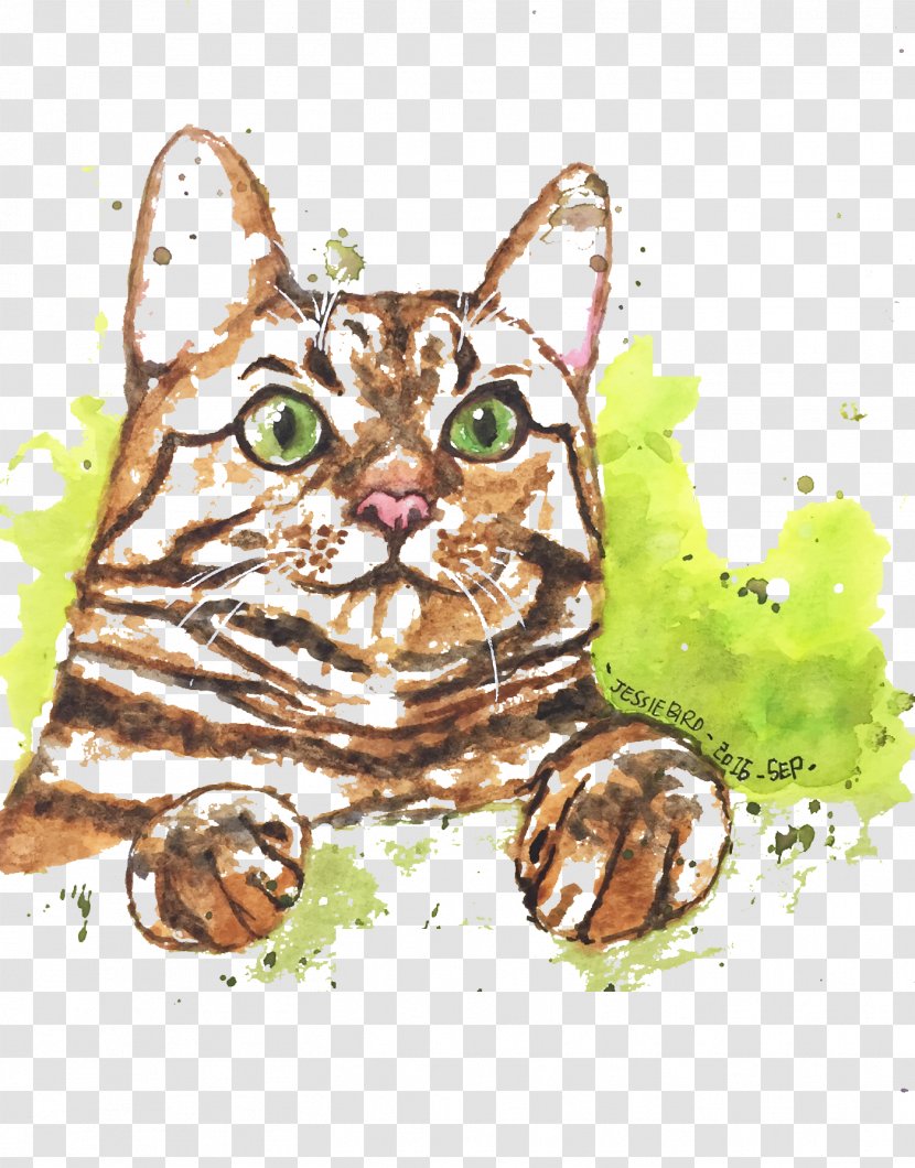 Tabby Cat Kitten Watercolor Painting Illustration - Yellow Transparent PNG
