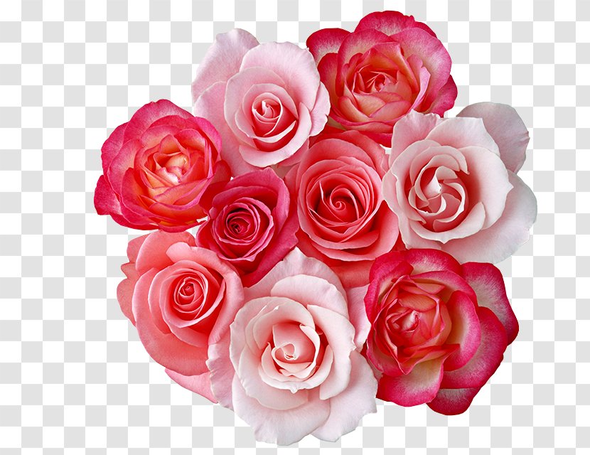 Flower Bouquet Rose Clip Art - Floristry Transparent PNG