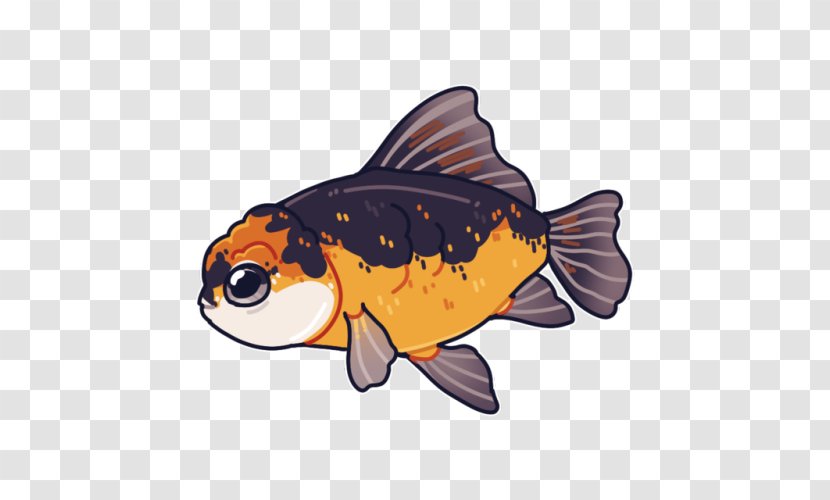 Oranda Ryukin Ranchu Shubunkin Fish - Goldfish - Fancy Transparent PNG