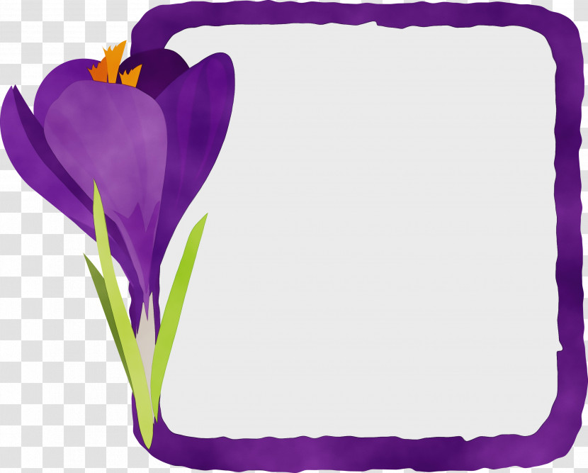 Lavender Transparent PNG