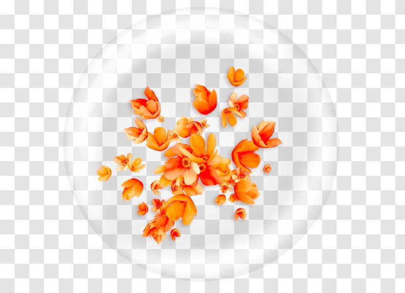 Icon - Petal - Floral Background Transparent PNG