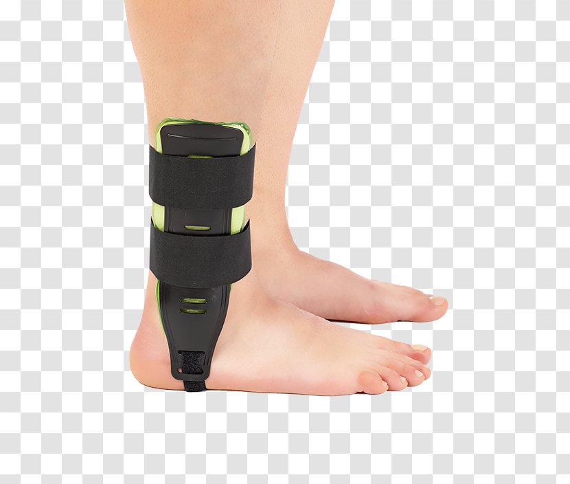 Ankle Shoe Foot Knee Heel - Neon - Hostes Transparent PNG