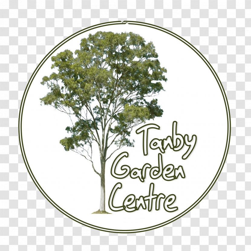 Tanby Garden Centre Nursery Emu Park - Plant - Labor Day Transparent PNG