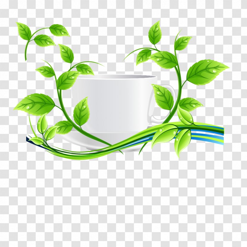 Green Tea Euclidean Vector Leaf - Cup Transparent PNG