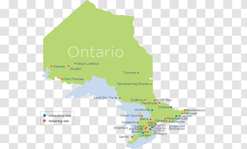 Ontario Telemedicine Network Telestroke: The Use Of In Stroke Care Health Transparent PNG