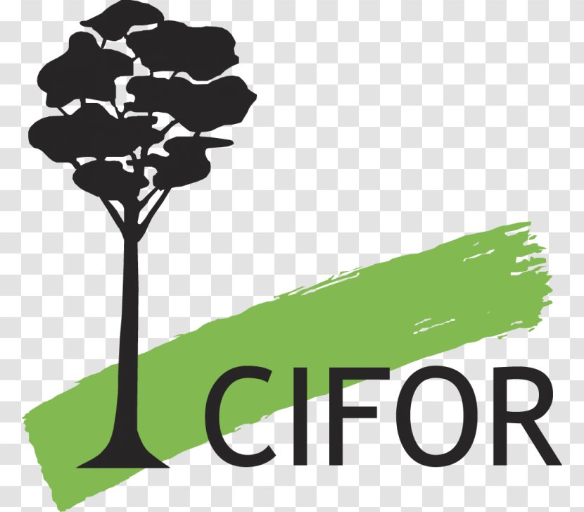 Center For International Forestry Research Rights And Resources Initiative - Logo - Forest Transparent PNG
