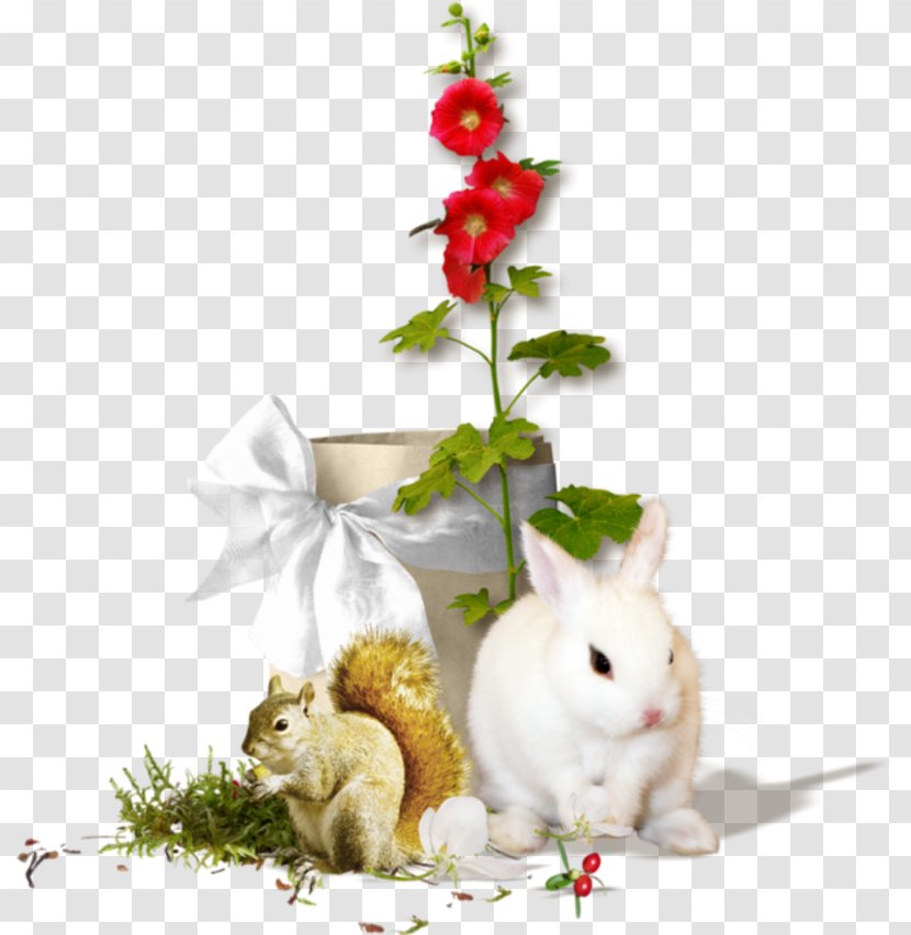 Domestic Rabbit PhotoScape - Photoscape - Fortnite Letter G Transparent PNG