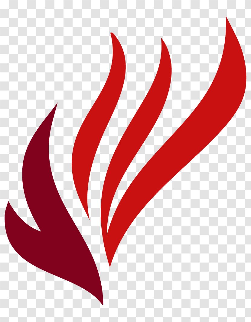 Holy Spirit Bible Logo Fire Baptism - Sacred - Company Transparent PNG