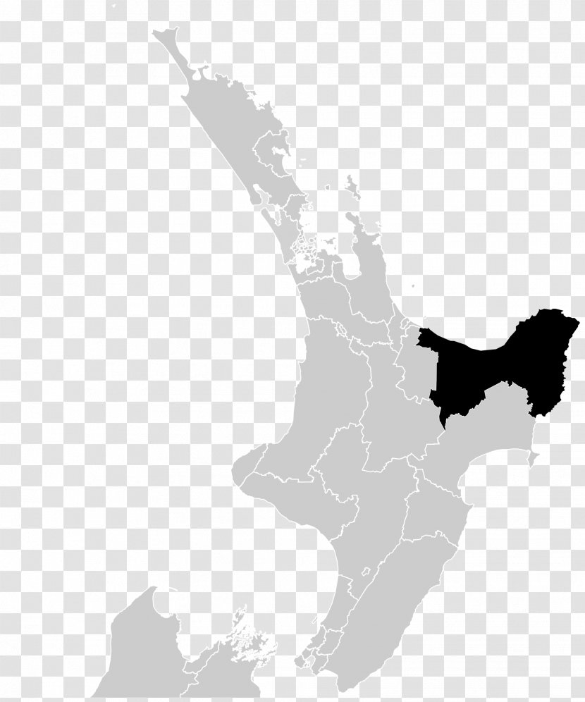 Vector Map Auckland Gisborne - Openstreetmap Transparent PNG