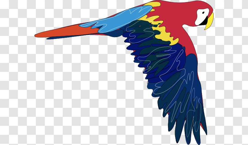 Parrot Bird Macaw Clip Art - Organism - Cartoon Pictures Transparent PNG