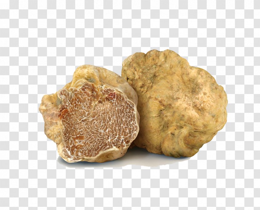 Alba San Miniato Piedmont White Truffle Tuber Oregonense - Italy - La Rotonda Dei Bagni Palmieri Transparent PNG