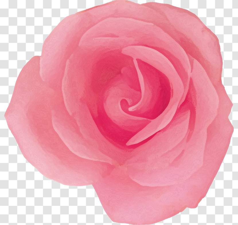 Pink Flower Cartoon - Moss Rose - Magenta Camellia Transparent PNG