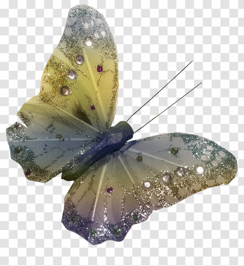 Butterfly PhotoScape Clip Art - Arthropod Transparent PNG