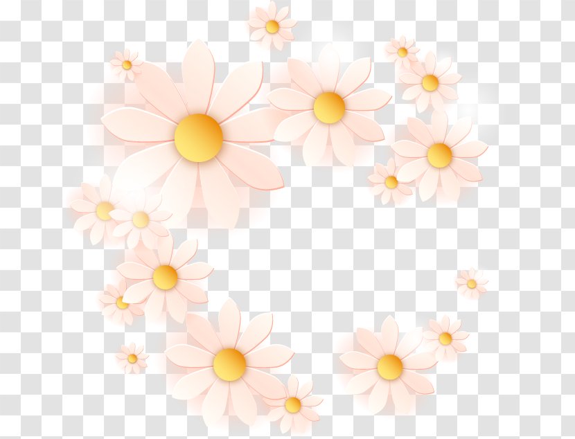 Margarita Drawing Common Daisy - Flower Arranging - White Chrysanthemum Transparent PNG
